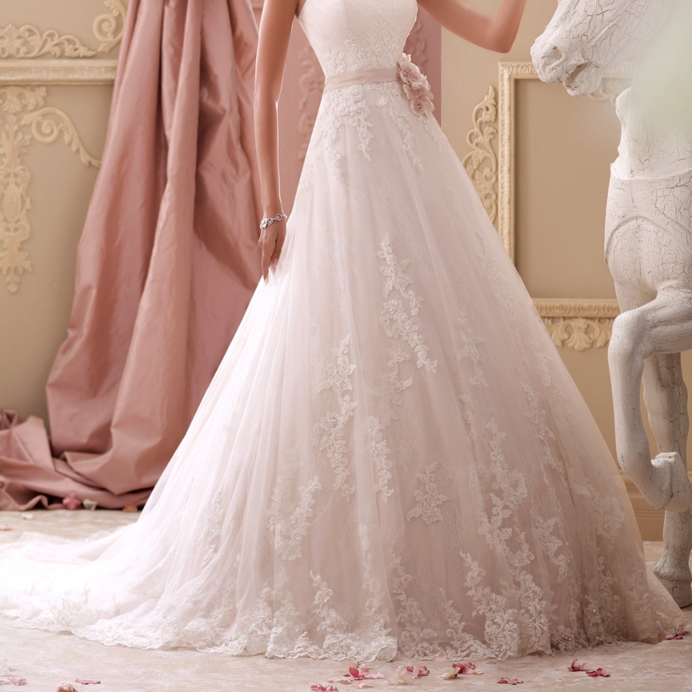 Brand New. Authentic . David Tutera.  Size 16. - Picture 3 of 8